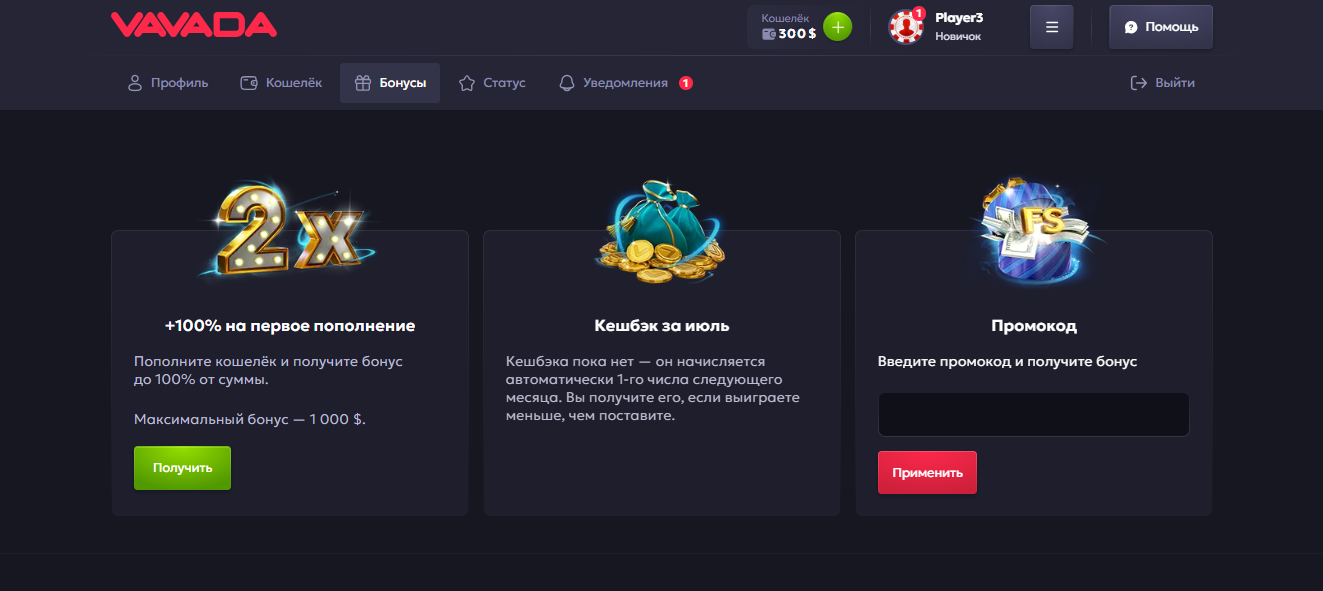 Bonuses at Vavada Casino